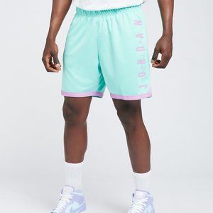 Air Jordan Jumpman Mesh Knit Shorts